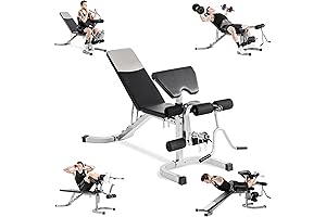Gold's Gym XRS 20 Olympic Weight Bench with Leg Extension