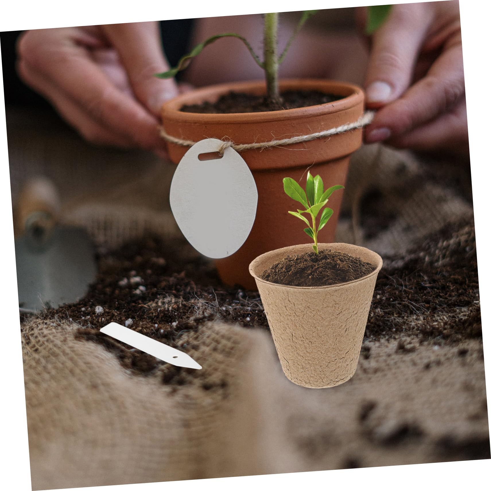 Sosoport Pot en pulpe pour semis 110 pcs repiquage Plantes Potager