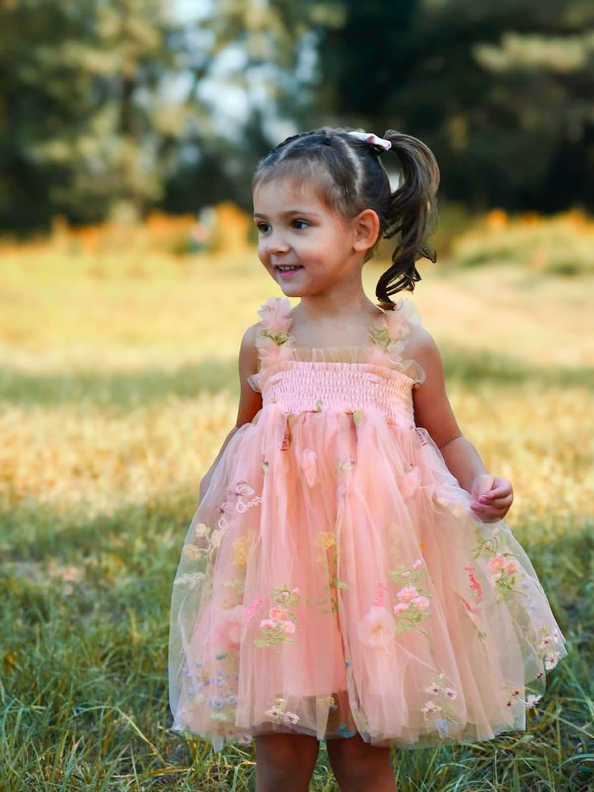 Miipat Robe Bébé Fille Tulle Papillon Jeune Enfant Fille L'été sans Manches Brodé Fleur Princesse Robe Fête de Mariage Robes d'anniversaire pour Fille