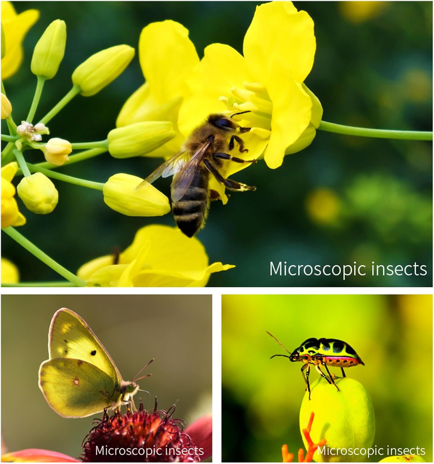 Andoer Universal Macro Lens for iPhone, 30-120mm, No Distortion, Prime, Fixed Focus, 4:1 Zoom, Optical Glass + Aluminum Alloy + ABS