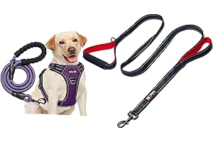 tobeDRI Dog Harness and Leash Set with 6 ft Heavy Duty 2 Handles Leash