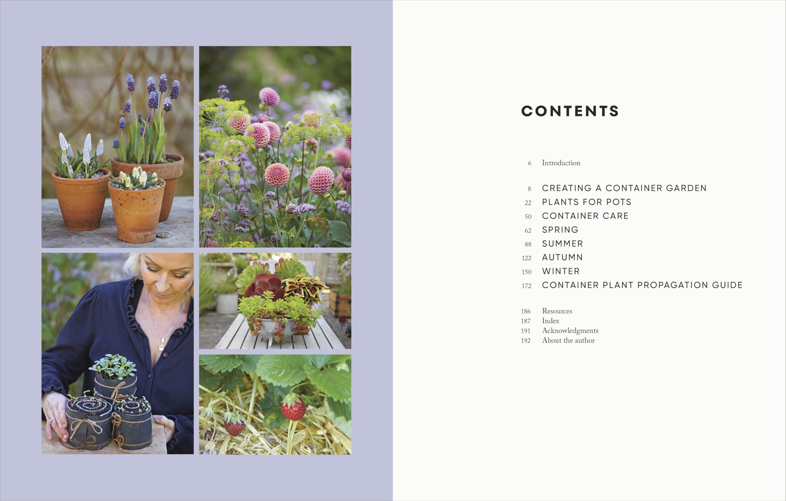 The Money-Saving Gardener Containers: THE INSTANT SUNDAY TIMES BESTSELLER