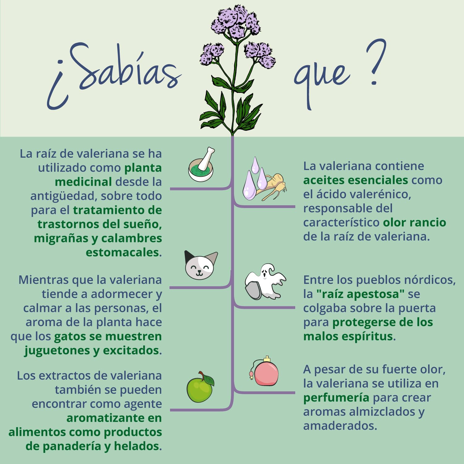 Valeriana BIO 2000 mg Vegavero® | Extracto Valeriana Officinalis | SIN ADDITIVOS | Favorece Relajación y Sueño | Contra Estrés y Mal Humor | 90 Cápsulas