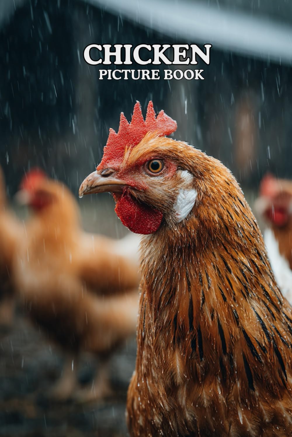 Chicken: Picture Book: 40 Beautiful Chicken Images in Premium Color | A Visual Collection for Farm and Poultry Lovers of All Ages.