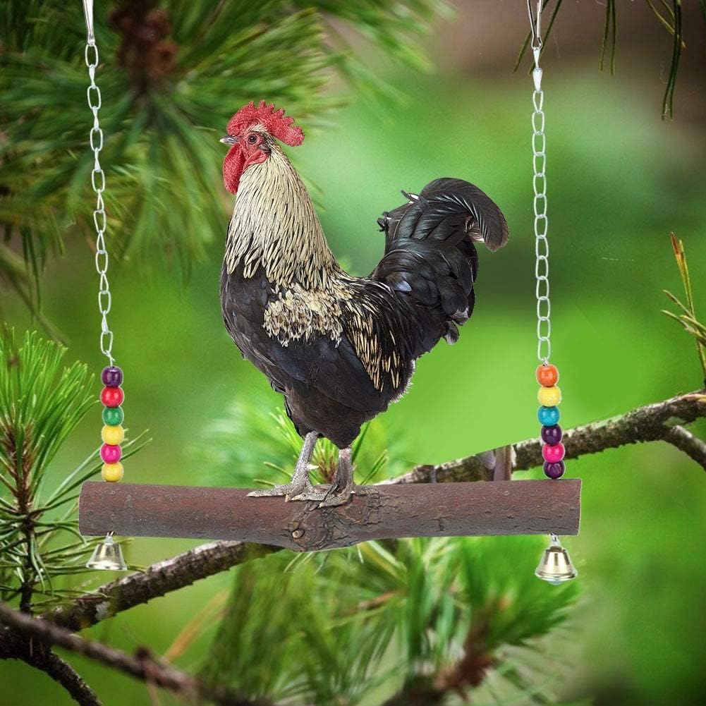 Altalena di Pollo, Altalene appese di Pollo Giocattoli, Giocattoli mordaci con Blocchi di Legno Altalena di Pollo con Campana per pappagalli Medi e Grandi Cacatua, Grigio Africano,