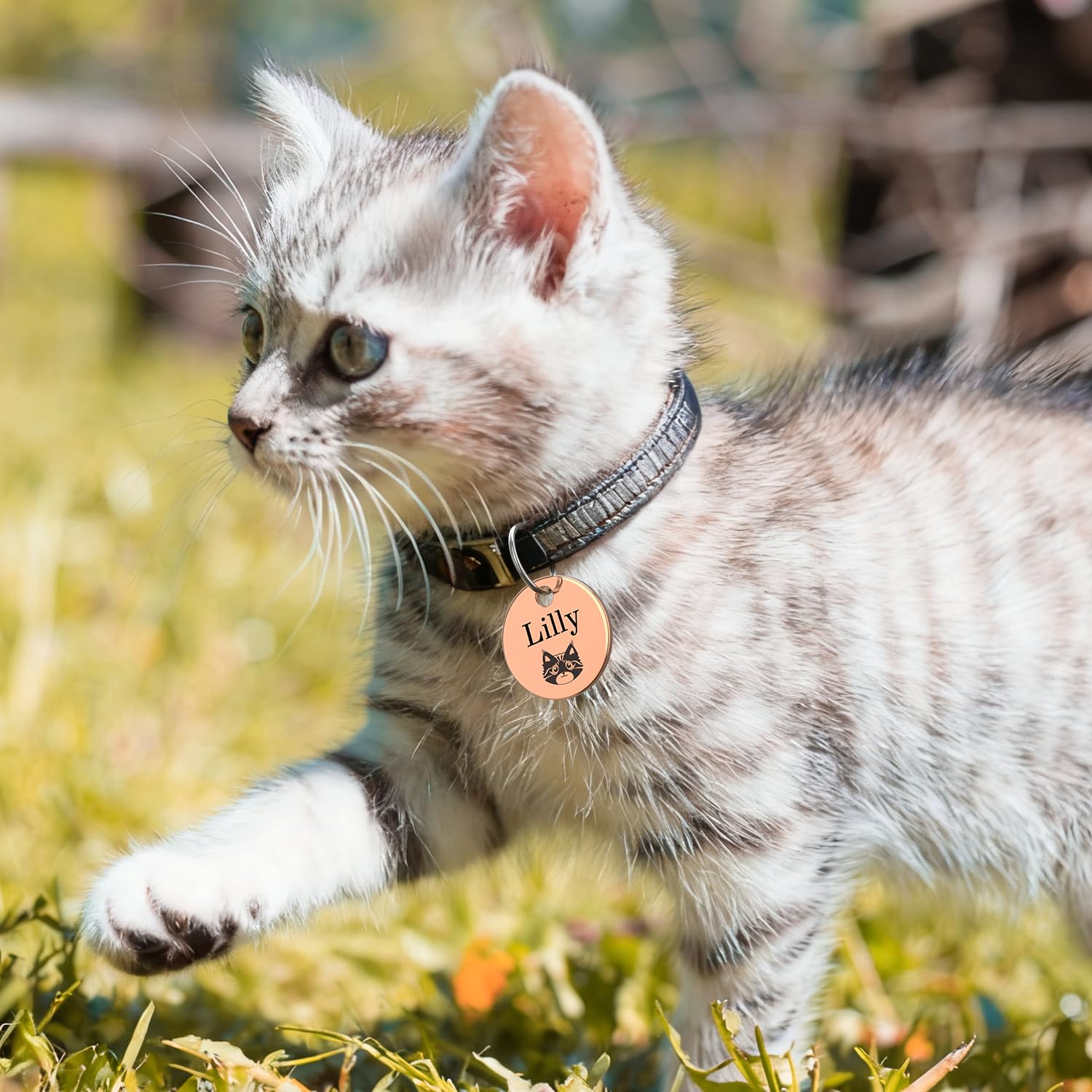 Médaille d'identification double face personnalisée avec gravure laser - plaque ronde en acier inoxydable poli pour chien et chat
