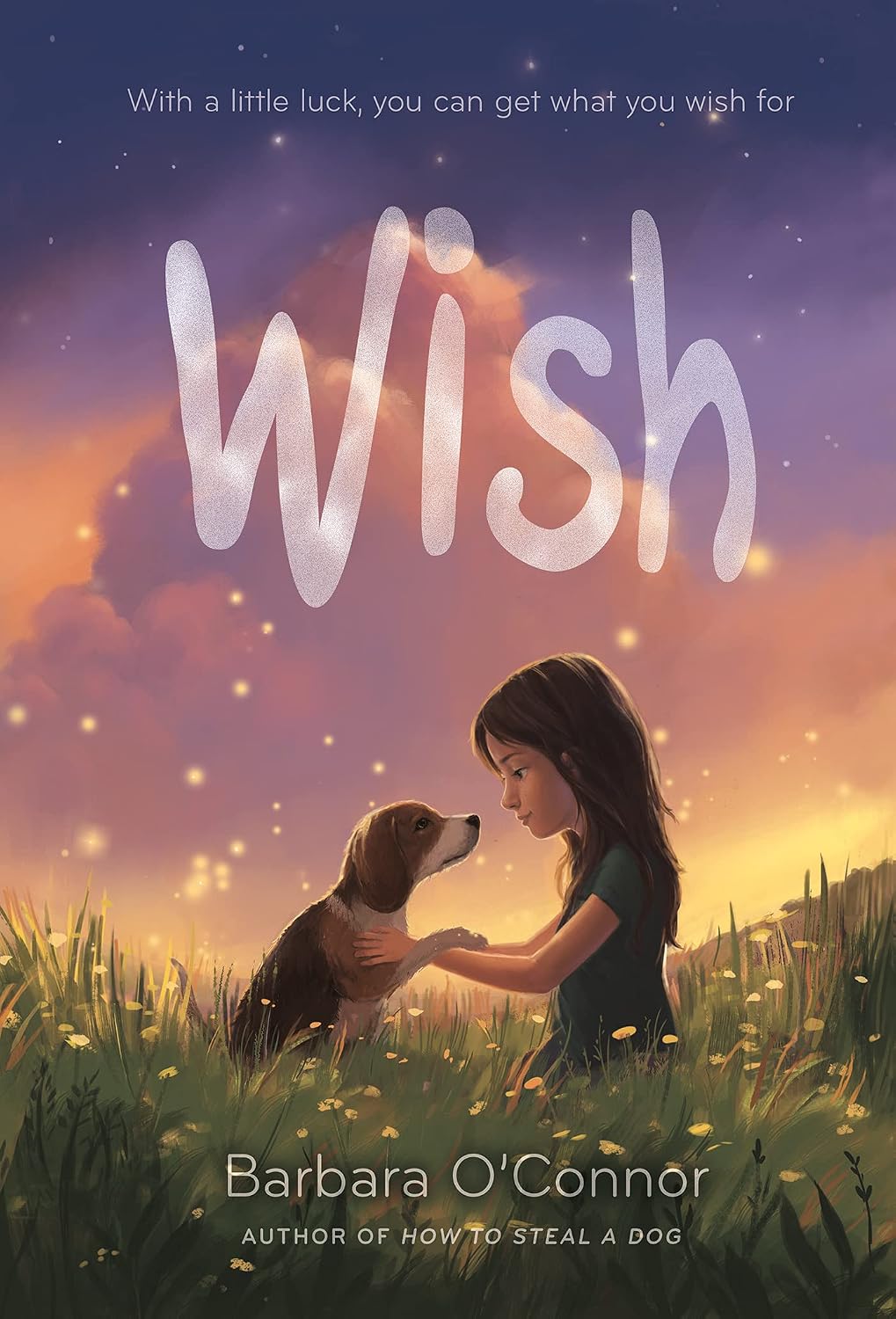 Wish (Thorndike Press Large Print Striving Reader Collection)