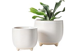LE TAUCI Ceramic Plant Pots: Elevate Your Indoor Oasis
