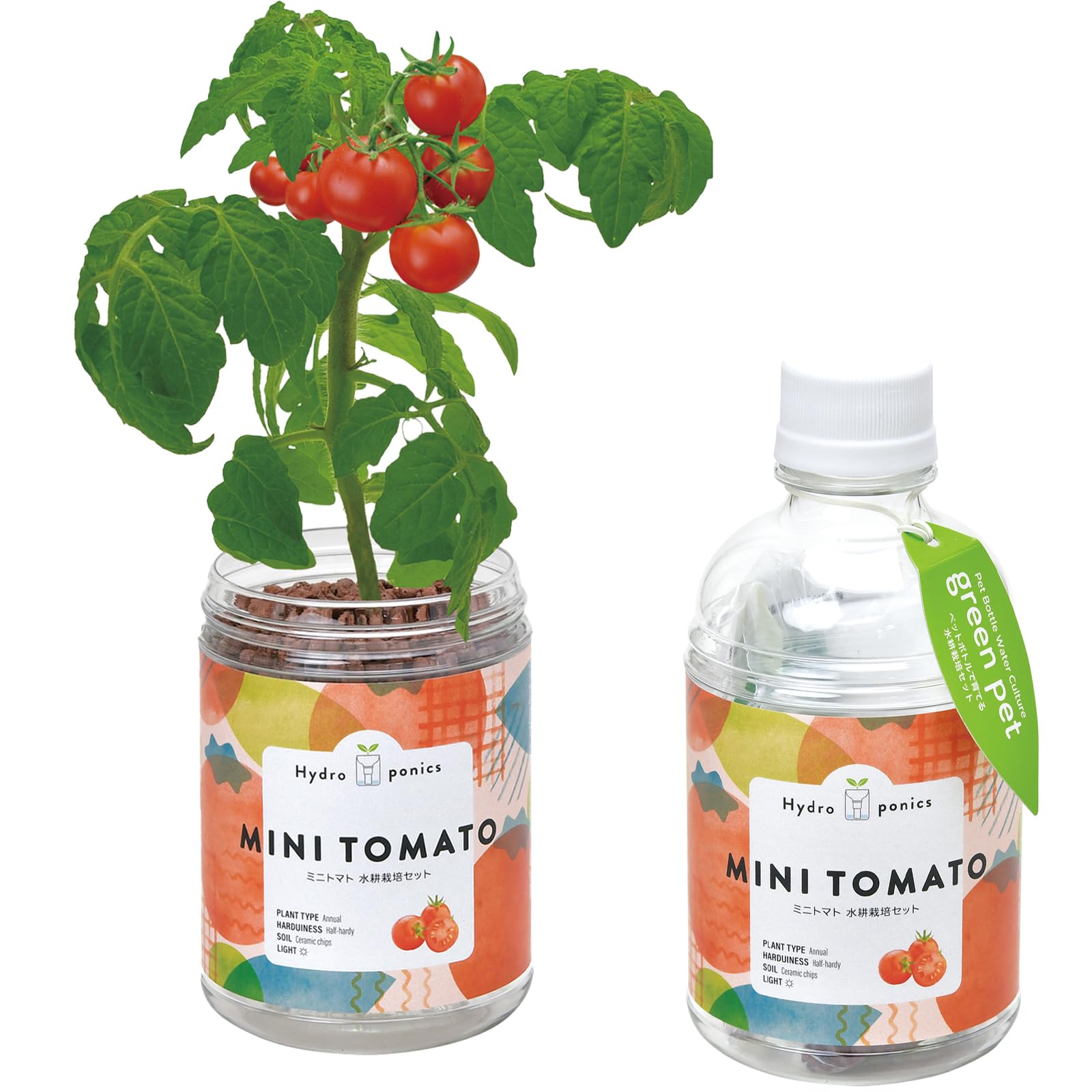 トマト　グヤトーン 美らsunトマト クボタファーム糸満 フルティカトマト