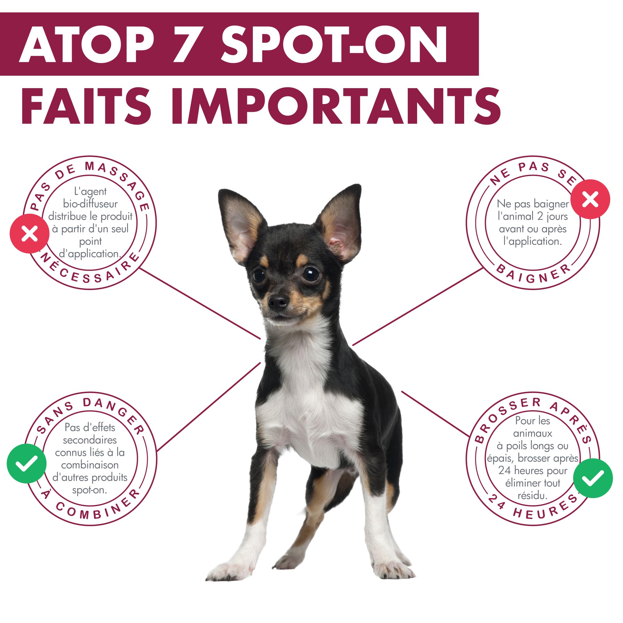 ATOP 7 Spot-on pour Chiens & Chats 0–10 kg | Soin Apaisant sans Rinçage | 4 Pipettes x 0,6 ML | Dermoscent