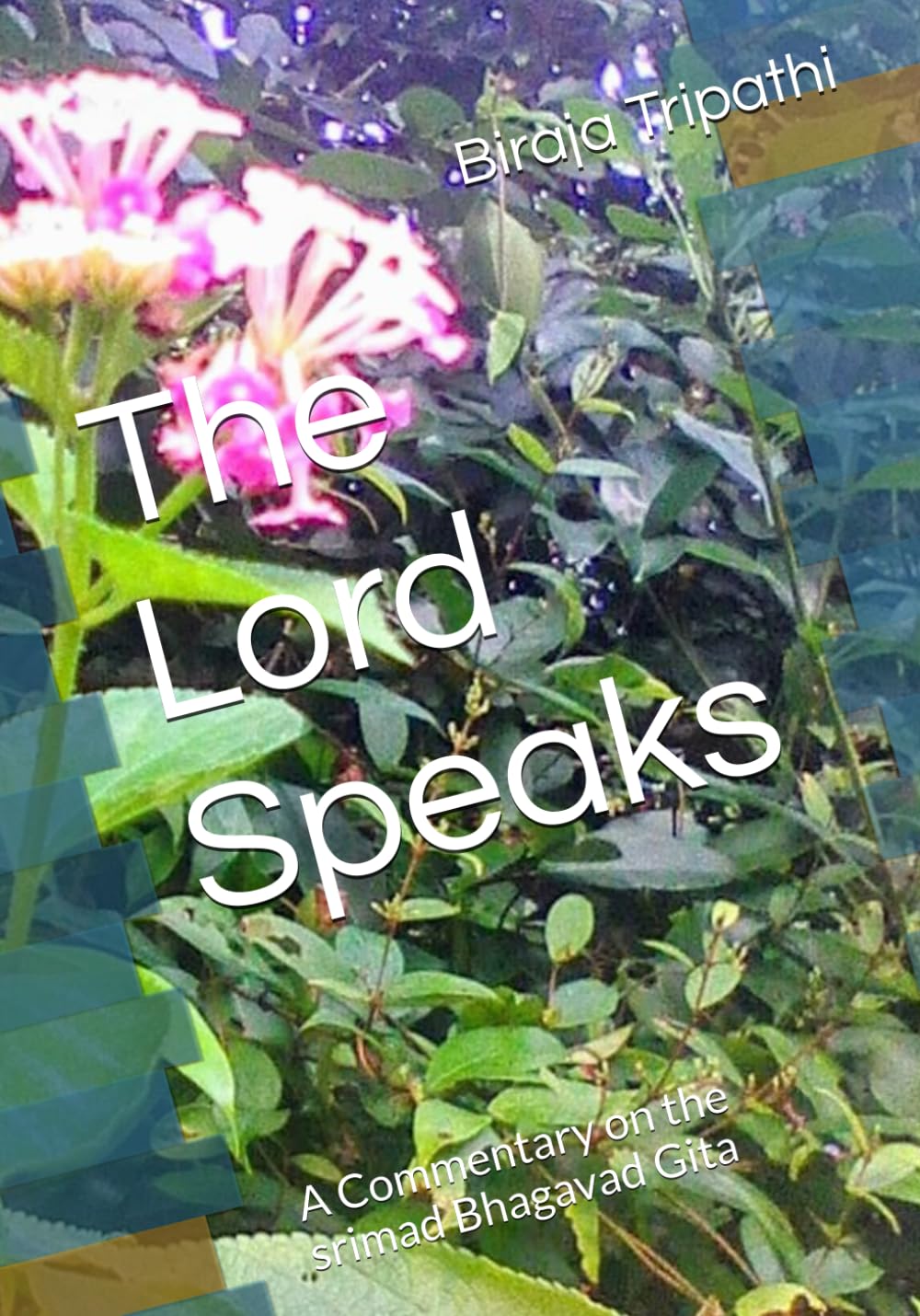 The Lord Speaks: A Commentary on the srimad Bhagavad Gita