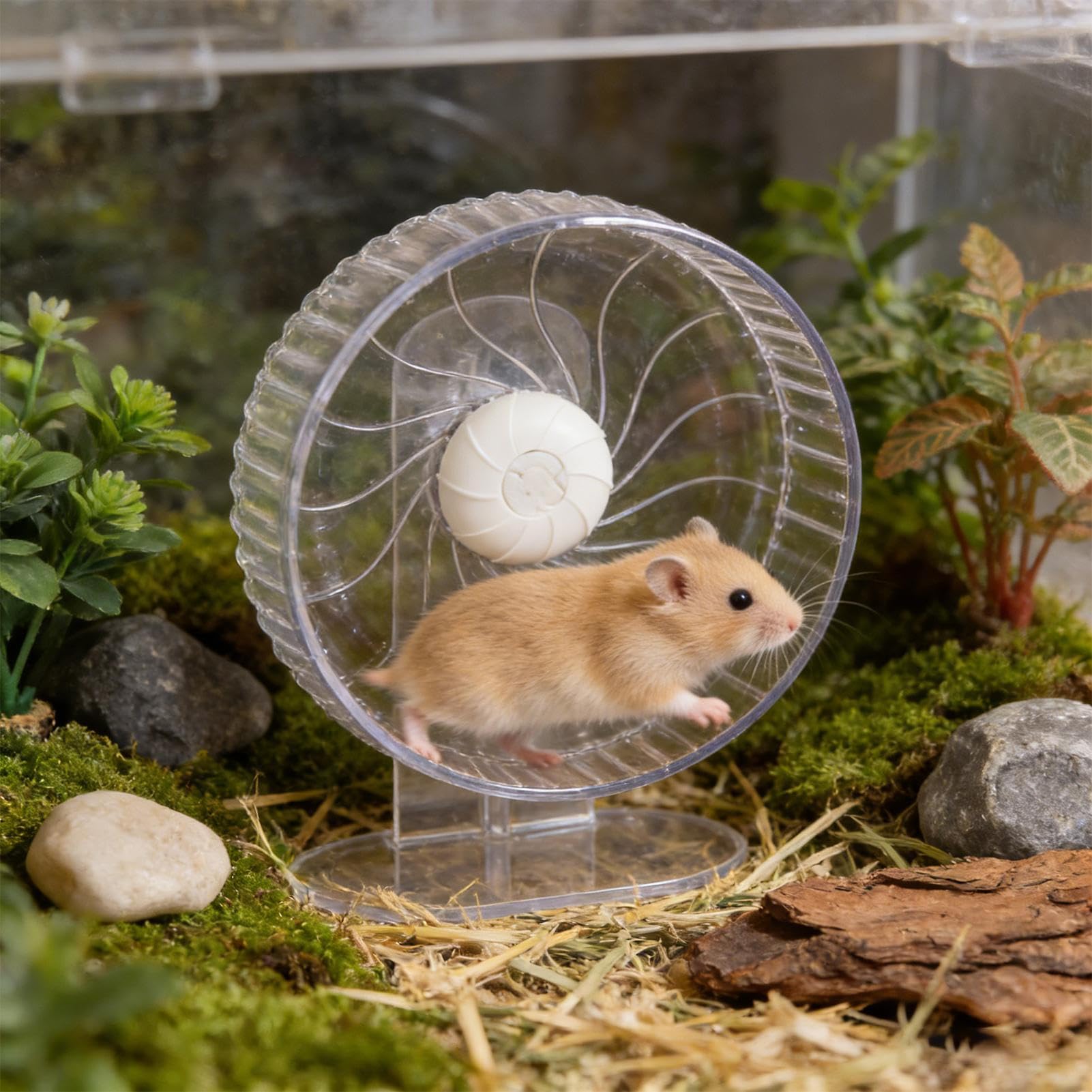 Ruota Per Criceti Silenziosa per Esercizio Rotante ad Altezza Regolabile | Ruota Silenziosa per Piccoli Animali Arricchimento per Animali Domestici Coniglio Furetto Riccio Sugar Glider Topi Gerbil