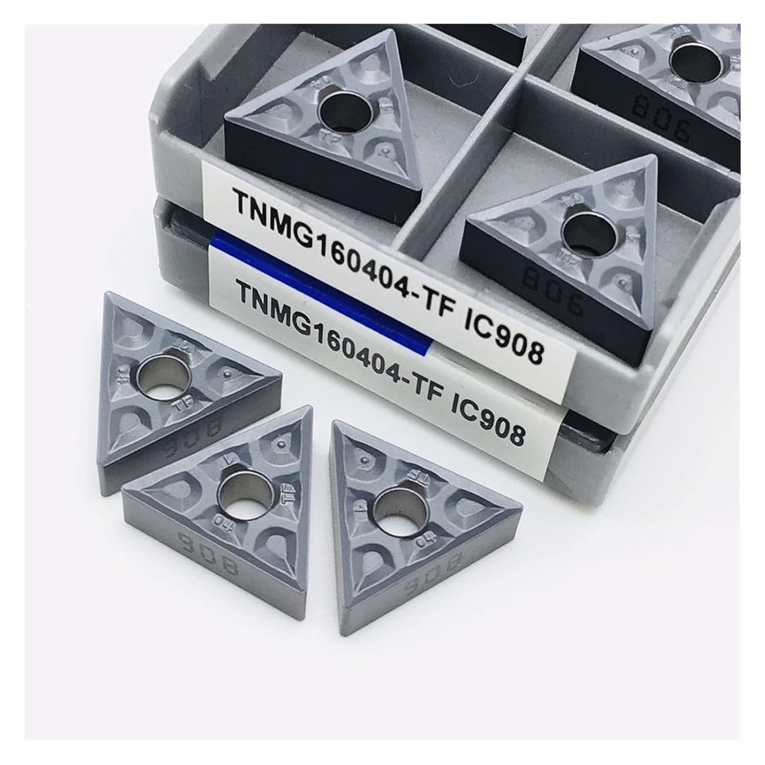 月下猪図】浅井柳塘 2655 阿波徳島出身 イノシシ 掛け軸 肉筆 浅井柳塘