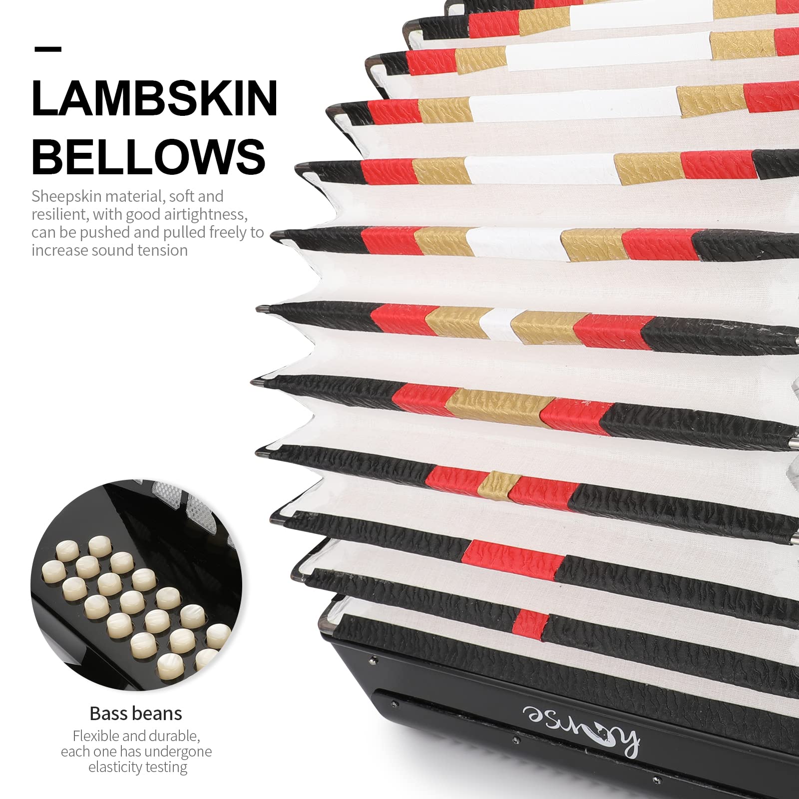 Amazon.com: 31-Key Diatonic Accordion 12 Bass G/C/F 3-Row