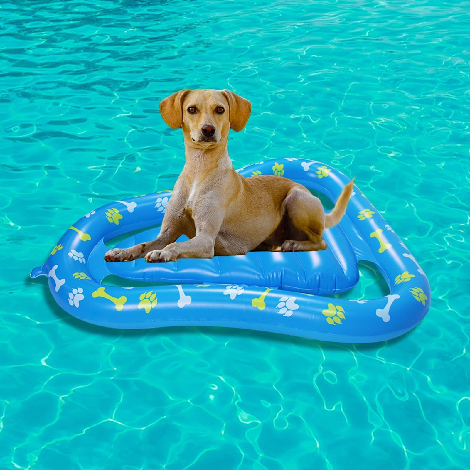 Flotador inflable para perros para alberca, balsa flotante de verano para
