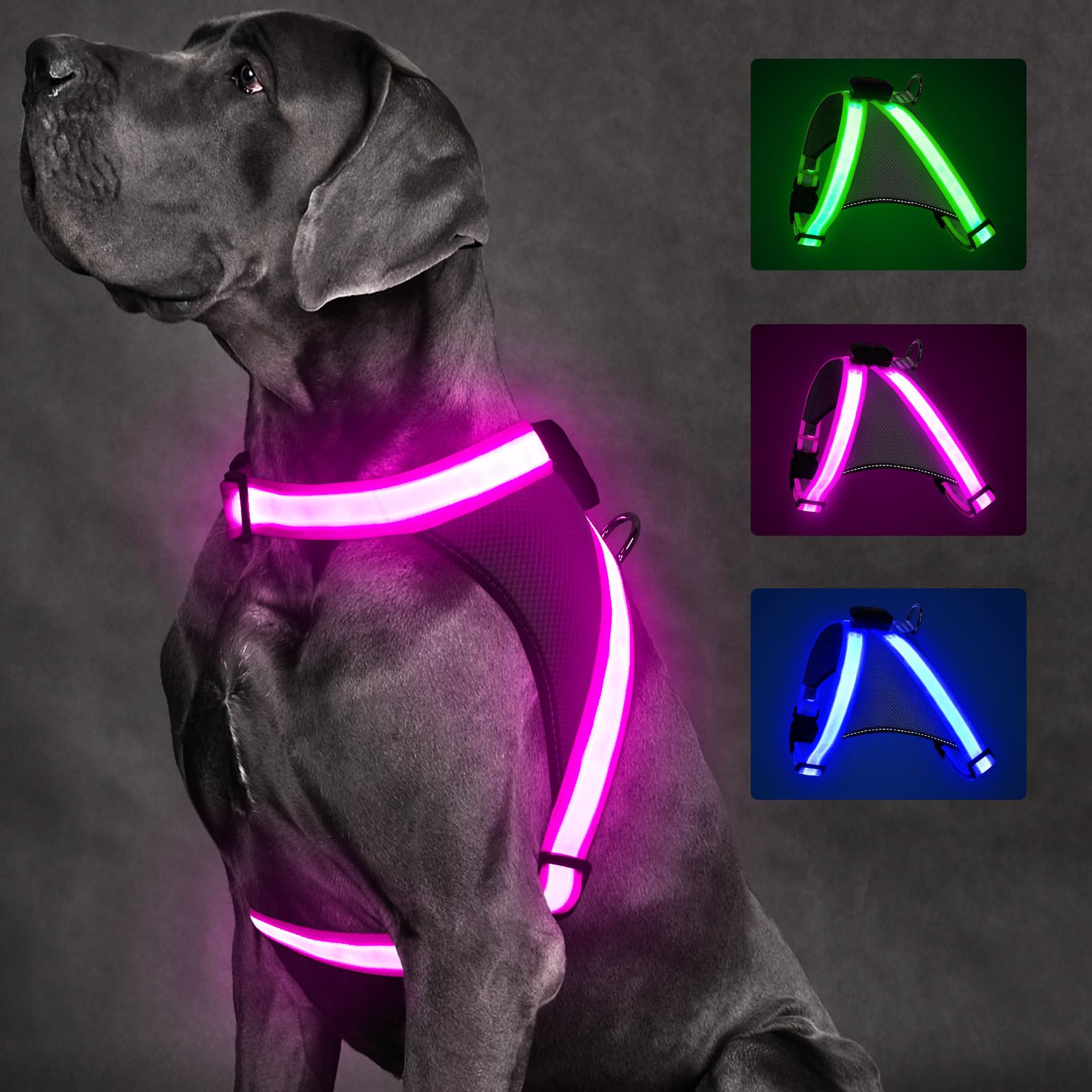 ChalkLit Light Up Dog Harness, No Pull Led Dog Harness Glow-in-The-Dark for Night Walking, USB Rechargeable Lighted Safety Vest for Medium Large Dogs,