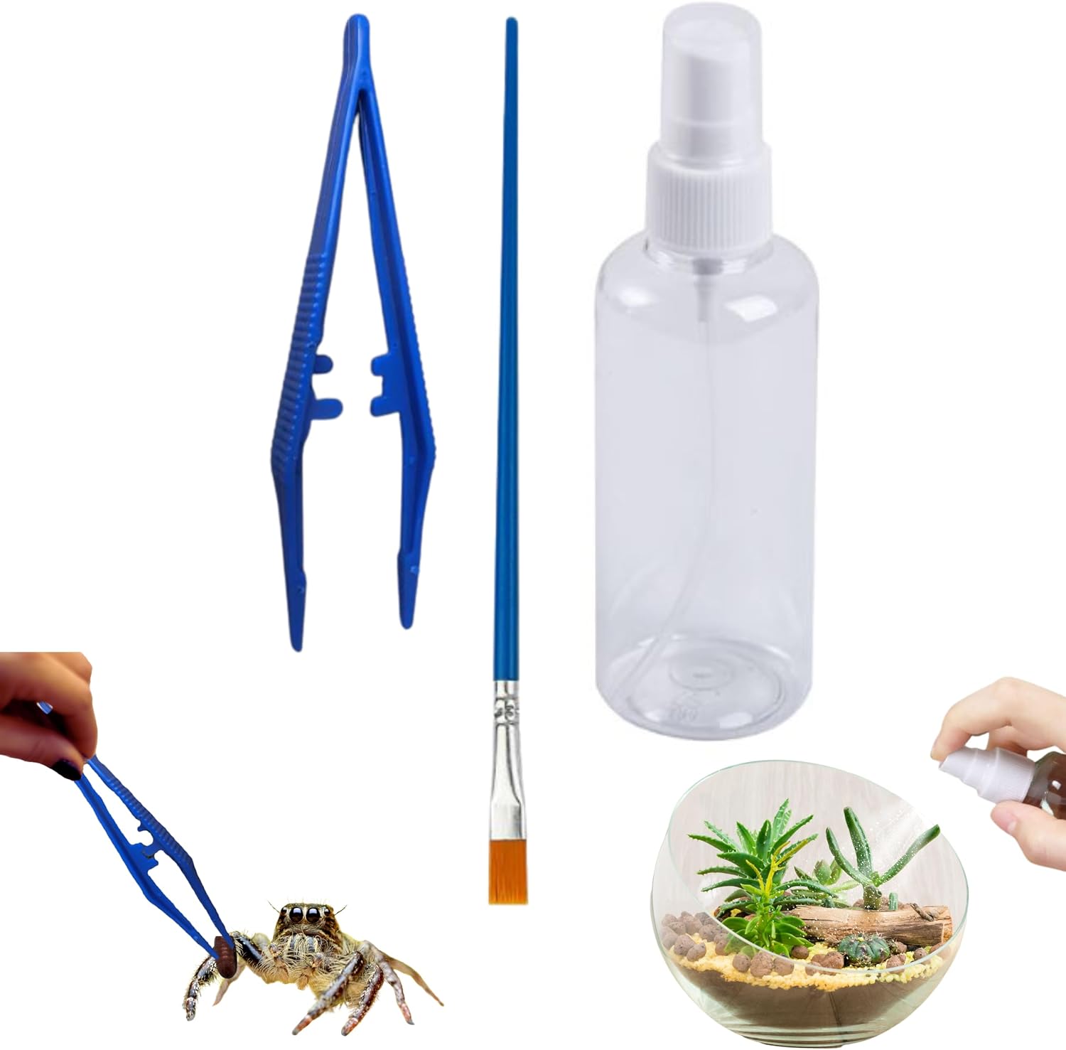 Jumping Spider Enclosure Starter Kit, Tarantula Enclosure Kit, Jumping Spider Accessories, Snail Terrarium Kit, Moss Growing Tool Set, Mini Plant Grow Tool, Reptile Tank Supplies for Habitat (Blue, S)
