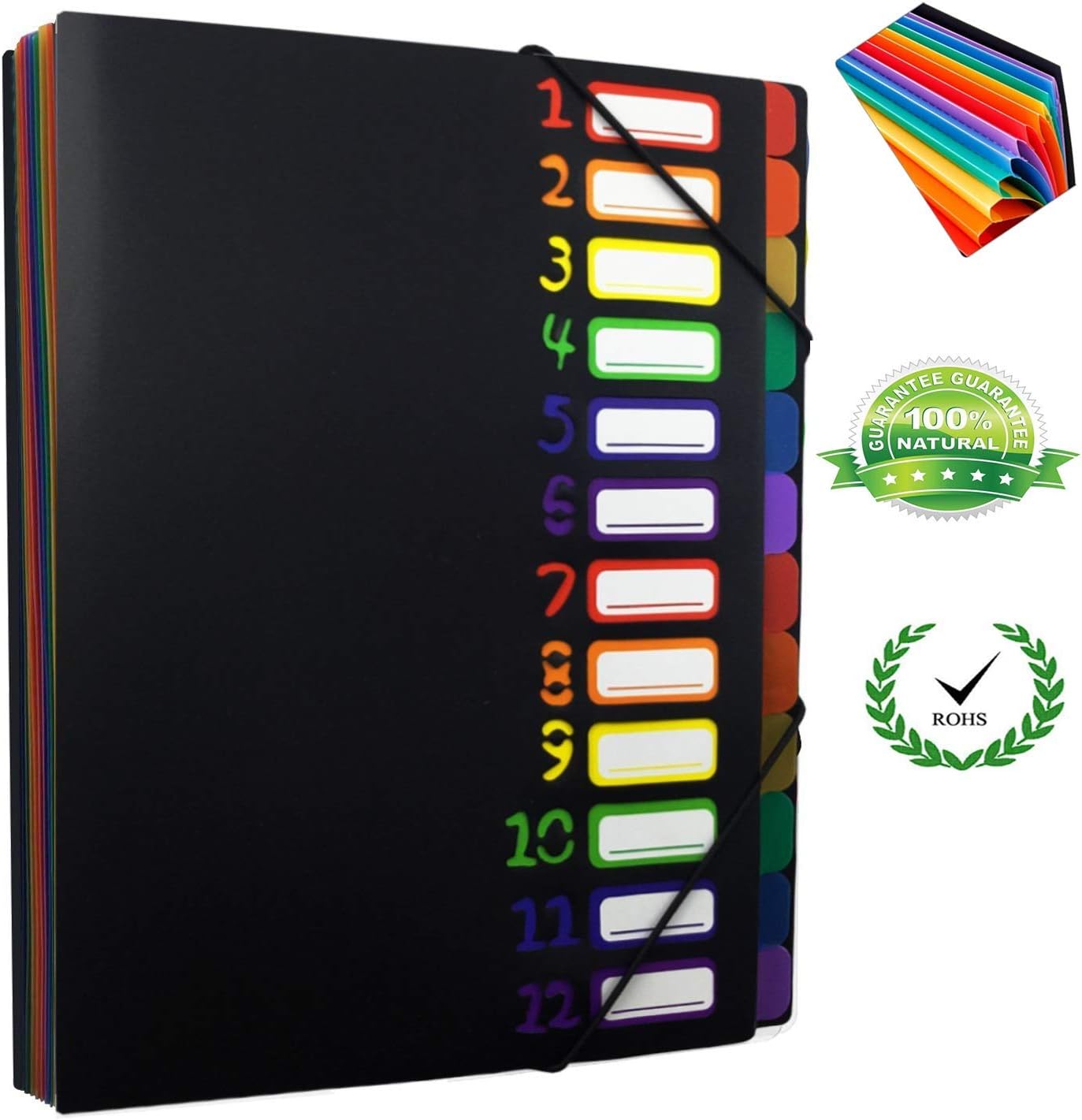 12 Pocket Expanding File Folder Project Sorter Heavy Duty Plastic Rainbow Expandable Folder Organizer, A4 Letter Size, 12 Dividers 24 Pockets, Document Project Organizer with Flap & Cord Closure, Mult
