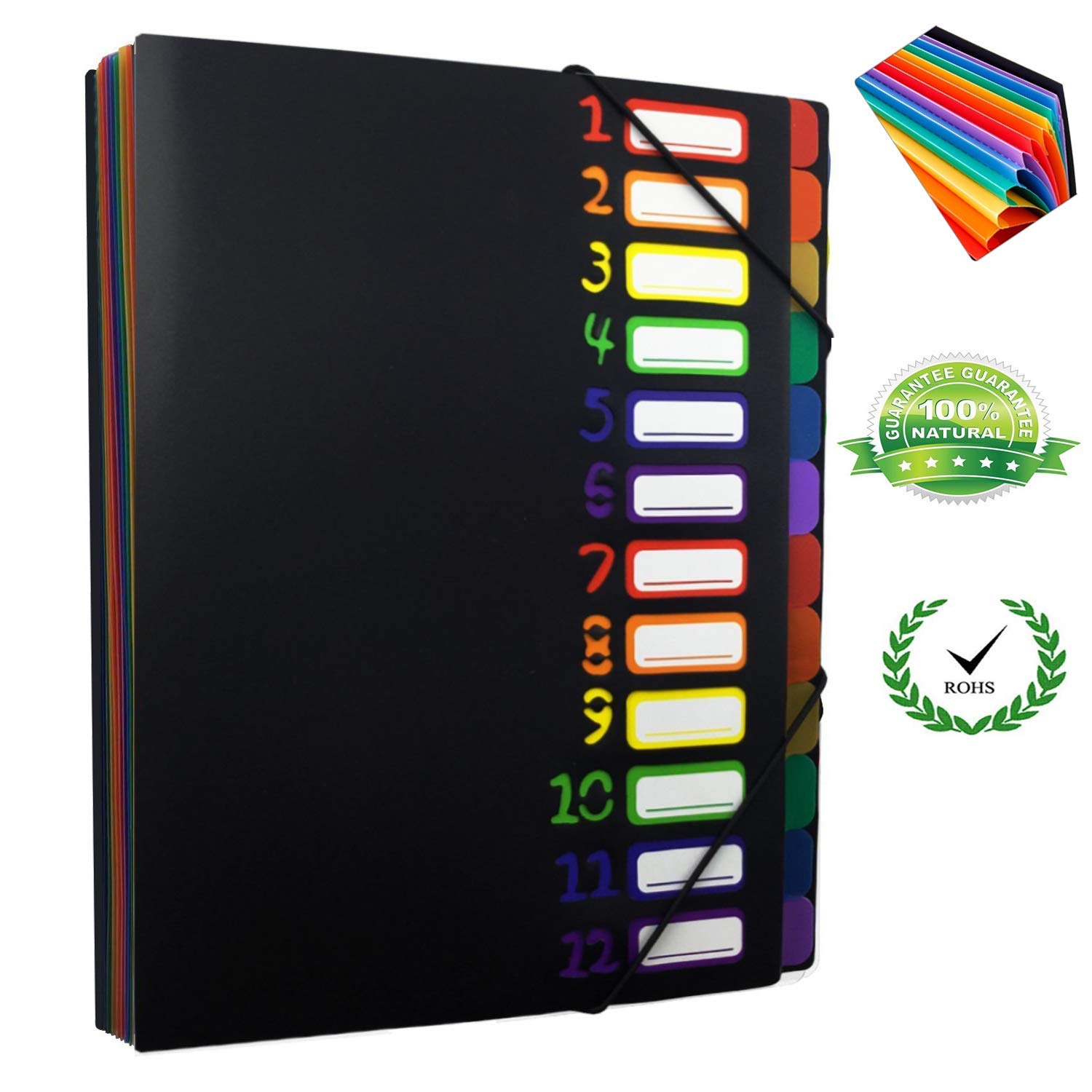 Buy 12 Pocket Expanding File Folder Project Sorter Heavy Duty Plastic Rainbow Expandable Folder