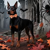 Vista 54 de Maca Bates Fall Maple Leaf Dog Collar with Sailor Bow Tie for Extra Small Girl,Boy,Autumn Foliage Puppy Collars with Bowtie Breakaway Adjustable