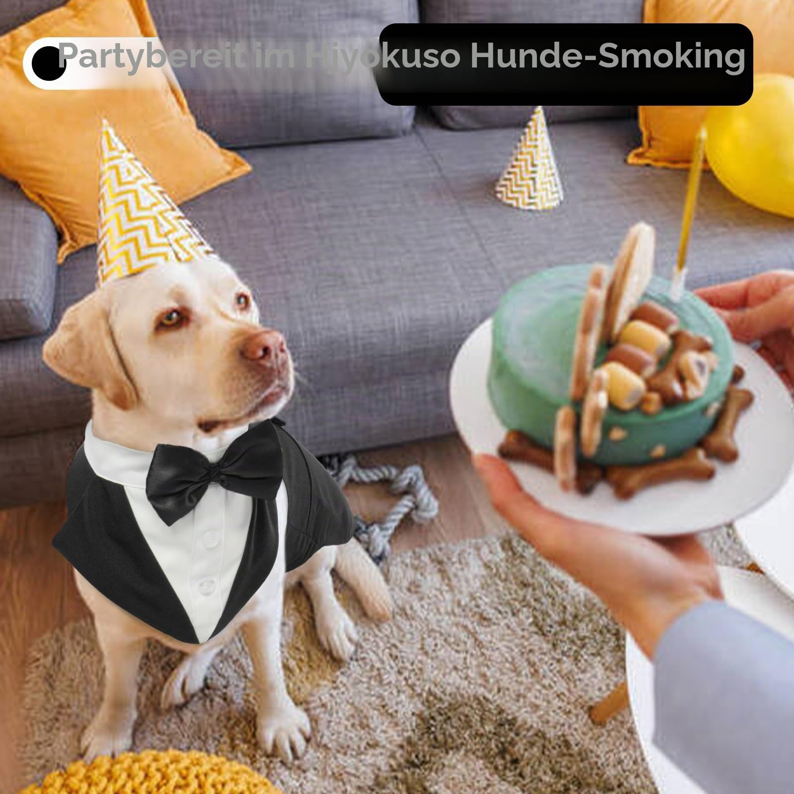Hund Smoking Anzug & Bandana Set, Hund Hochzeit Anzug, Hundekostüm für Kleine, Mittlere und Große Hunde, Hundekleidung für Hochzeit, Geburtstage, Partys Weihnachten und Halloween-Schwarz XXL