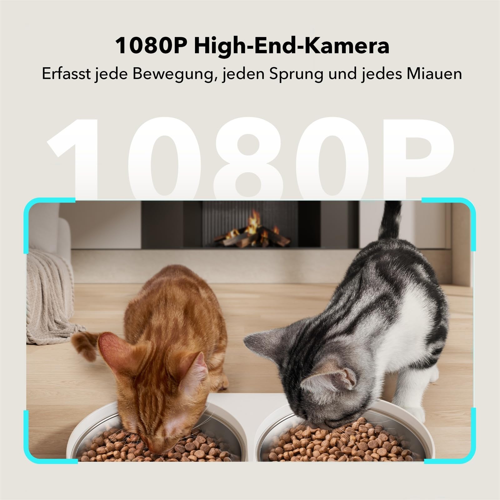 PETLIBRO 5G & 2.4G WiFi automatyczny dozownik karmy dla kotów z kamerą, 5 l 1080P HD automatyczny dozownik karmy dla psów z 2 miskami ze stali nierdzewnej, 1-10 past/dzień, sterowanie aplikacją, USB i