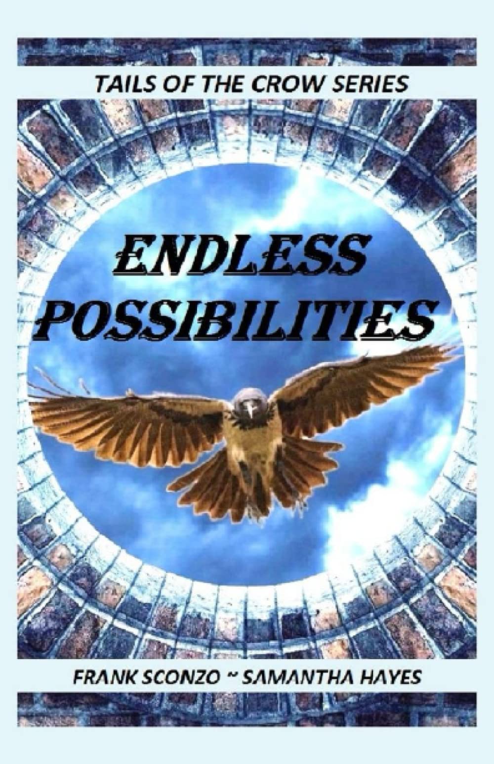 ENDLESS POSSIBILITIES: TAILS OF THE CROW SERIES