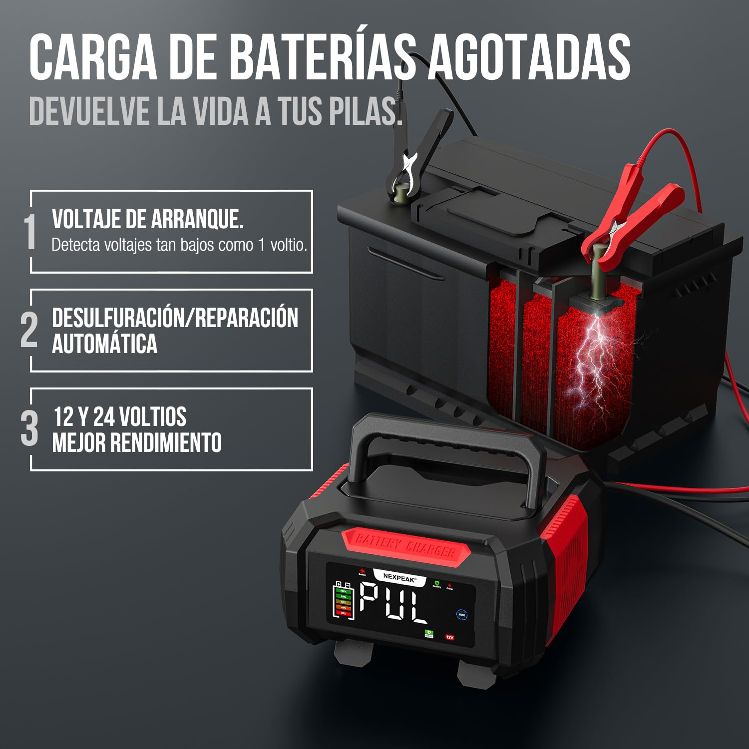 15A Cargador de Batería de Coche, NEXPEAK NC315 12V 24V LiFePO4 Cargador de Batería de Coche Portátil 9-Etapas Batería Inteligente para Coche, Camión, Moto, Cortacésped, Barco, Marina
