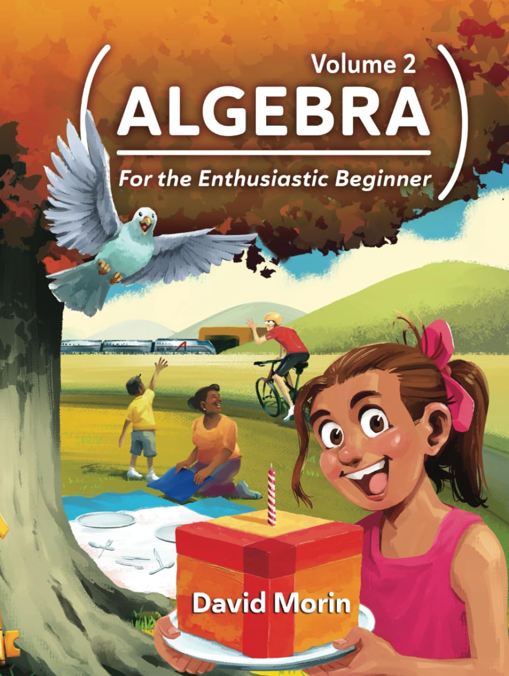 Algebra: For the Enthusiastic Beginner, Volume 2