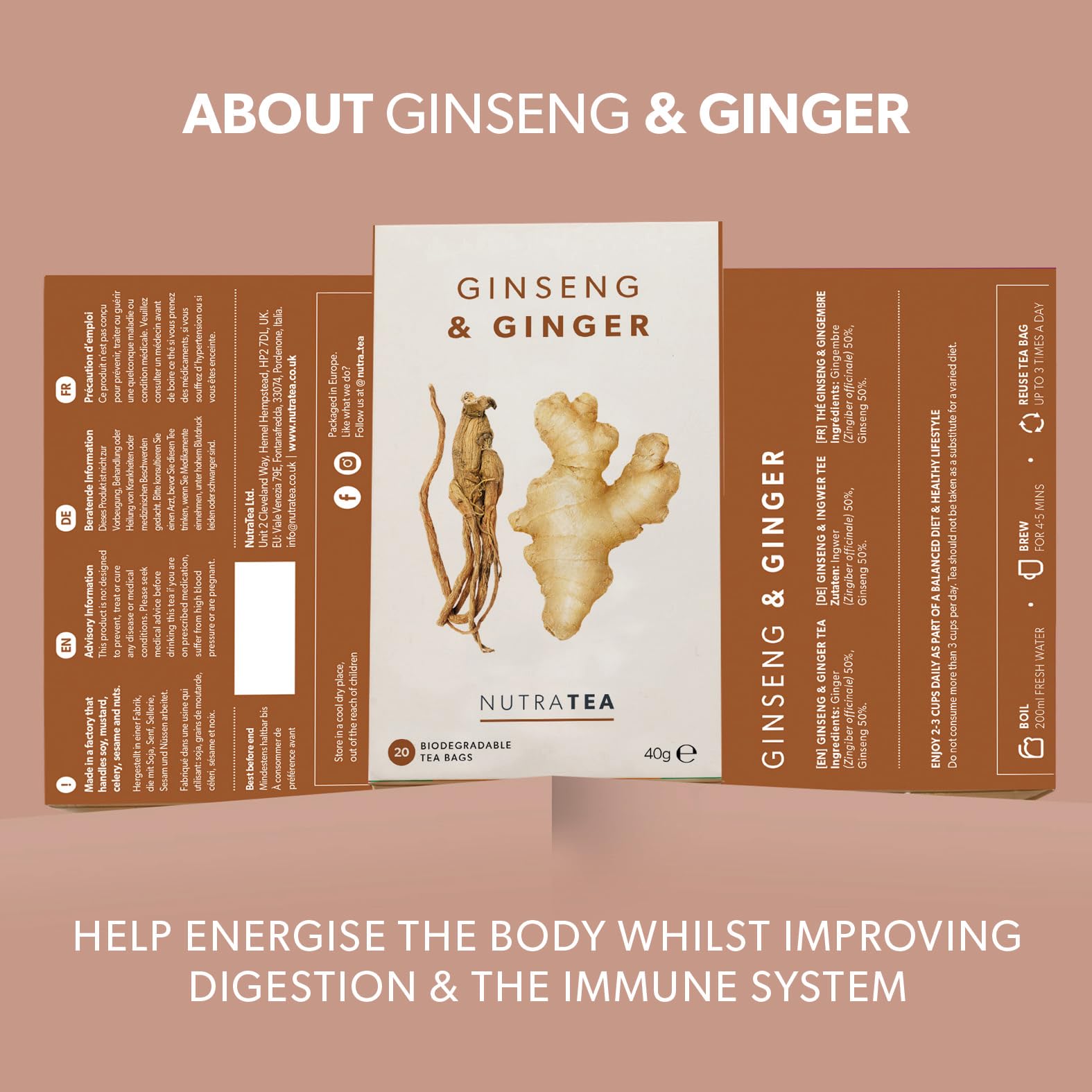 Nutra Tea Té de jengibre y ginseng, 120 bolsas envueltas individualmente, infusión de hierbas (paquete de 6)