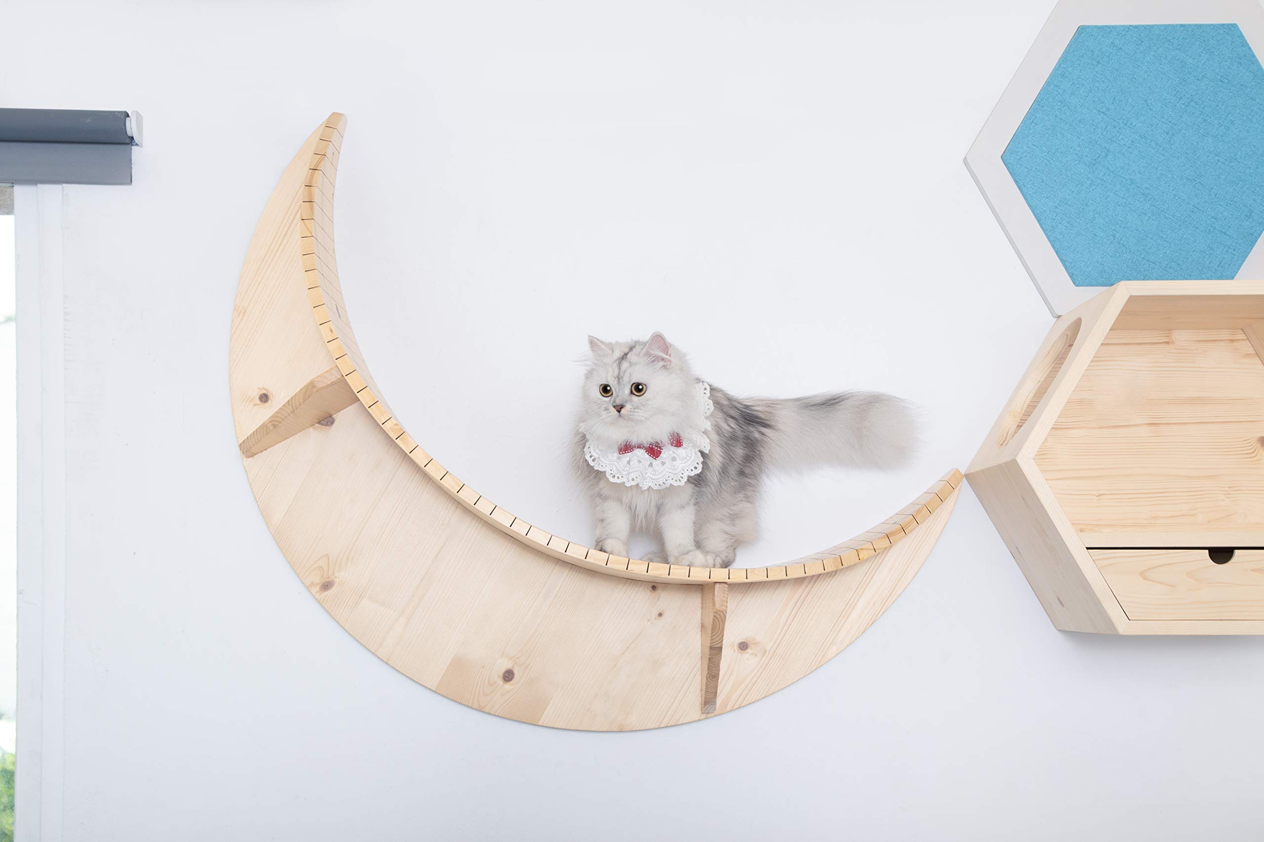 Amazon | MYZOO LUNA キャットステップ（単品/おもちゃなし