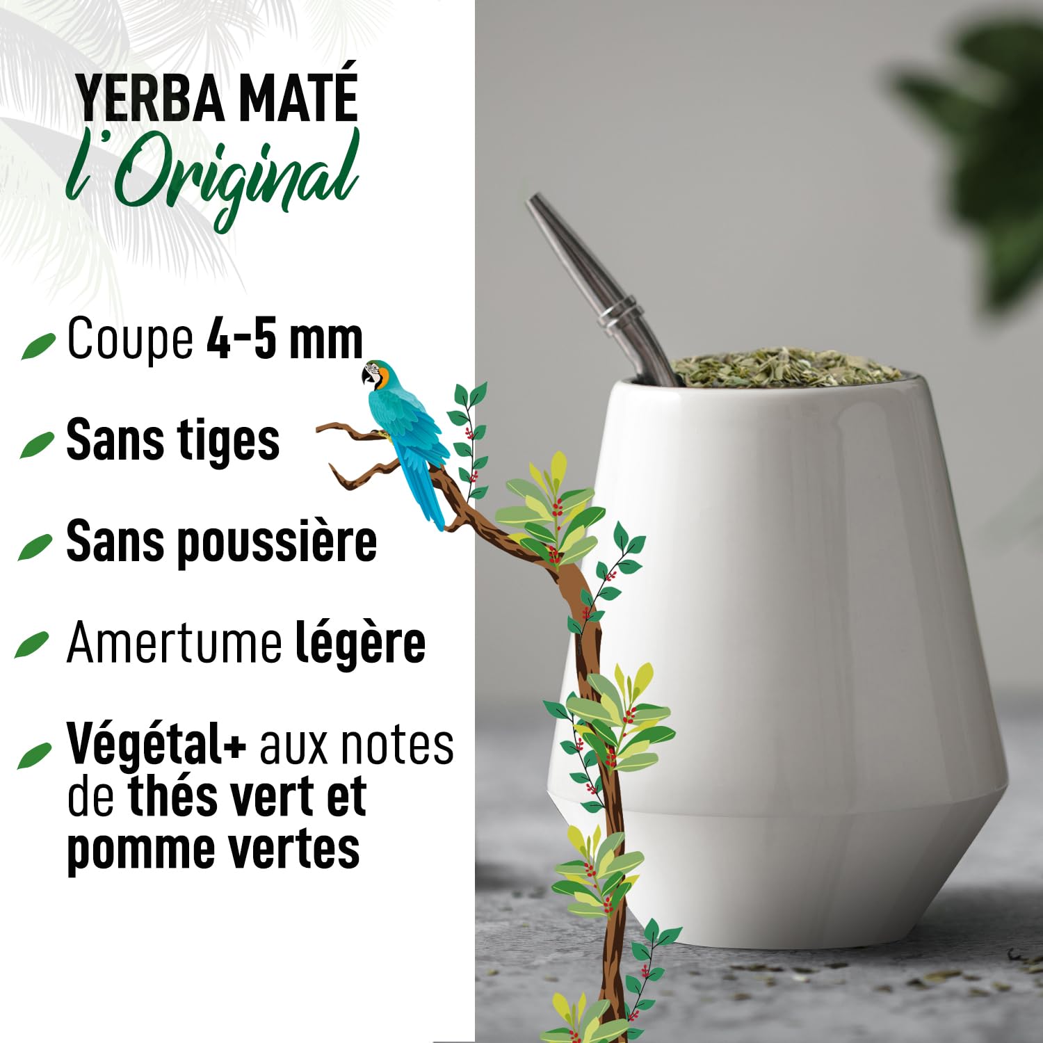 ORIGEENS YERBA MATE BIO 1KG L'Original - Yerba Maté Vert Non Fumé, Récolté à la main - Feuilles, Sans Tige, 0 Poussière - Boisson Energie et Detox