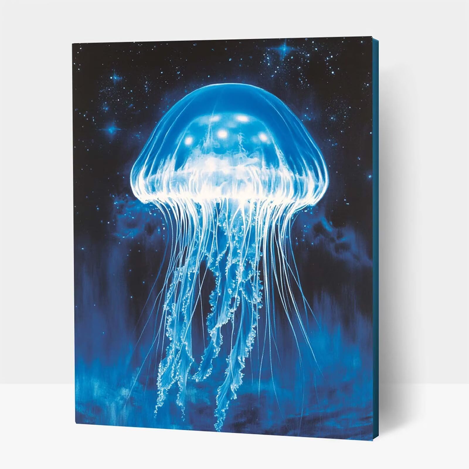 Amazon.co.jp: ダイヤモンドアート 海洋生物 絵画 ダイヤモンドアート