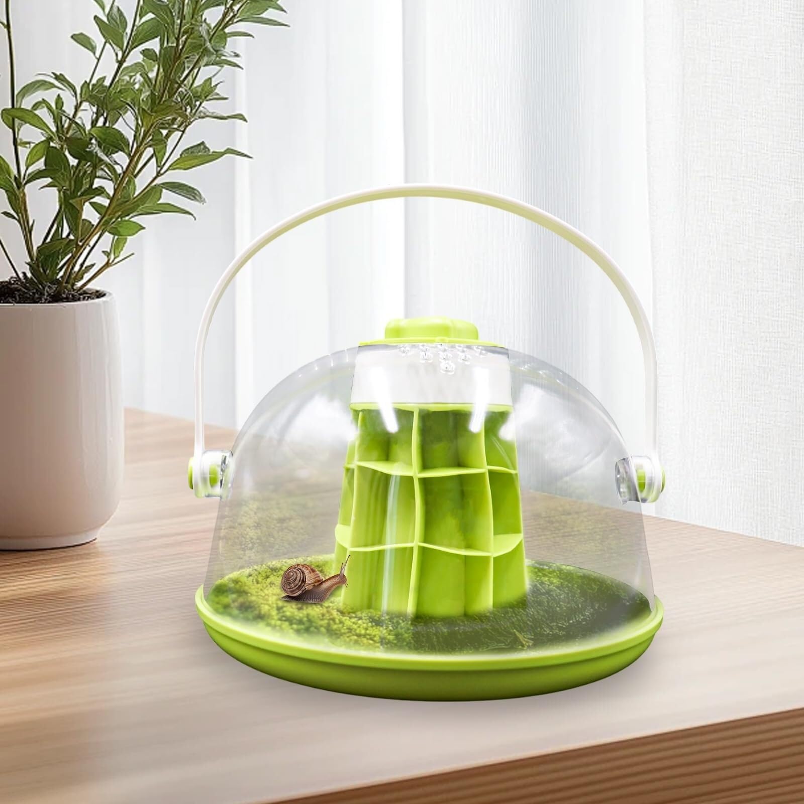 Pudełko Do Karmienia Zestaw Do Terrarium Dla Ślimaków Okrągłych, Plastikowa Podstawa, Wyjmowane Siedlisko Terrarium Dla Gadów