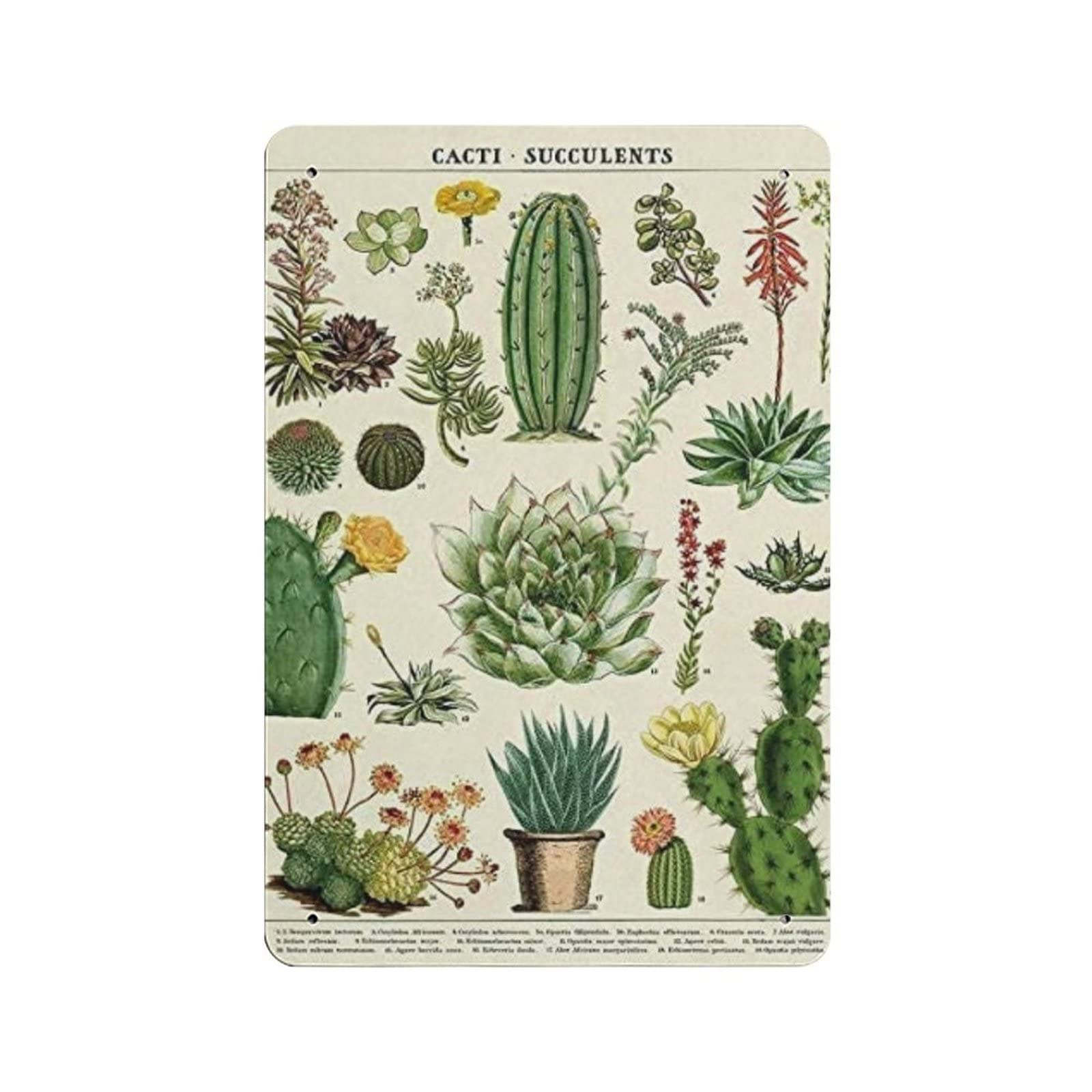 AOOEDM Botanical Cactus Vintage Tin Sign Metal Tin Signs for Man Cave Funny Art Wall Plaque Kitchen Bar Pub Coffee Shop Wall Decor