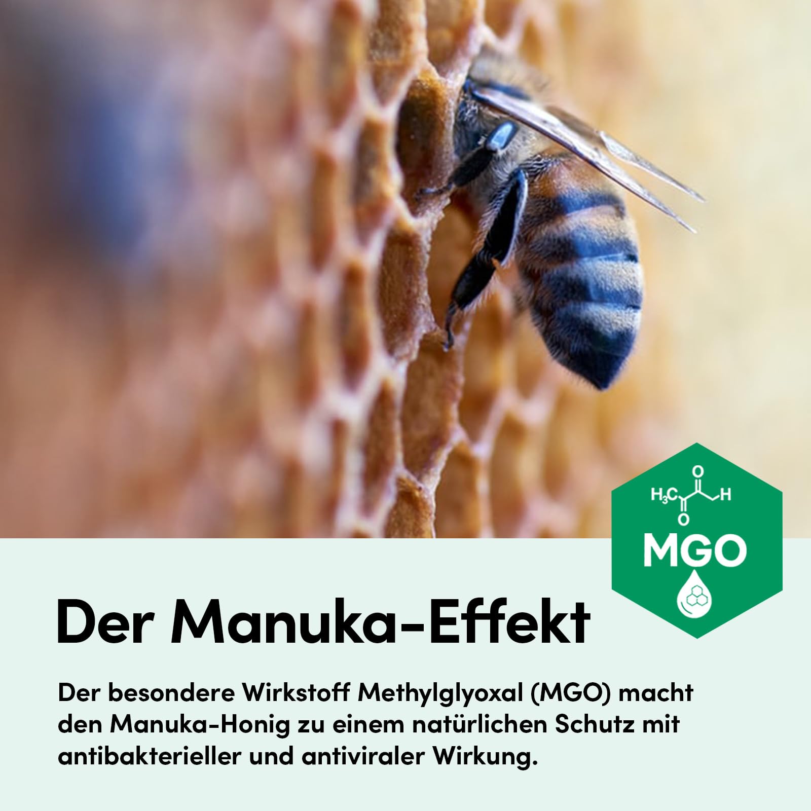 Set: 1x Wundheilspray (30ml) + 2x Wundheilsalbe (15g) | Reinigt die Wunde & unterstützt die Heilung – mit Manuka-Honig (MGO 514+) - für alle Wundphasen – auch bei schweren Wunden