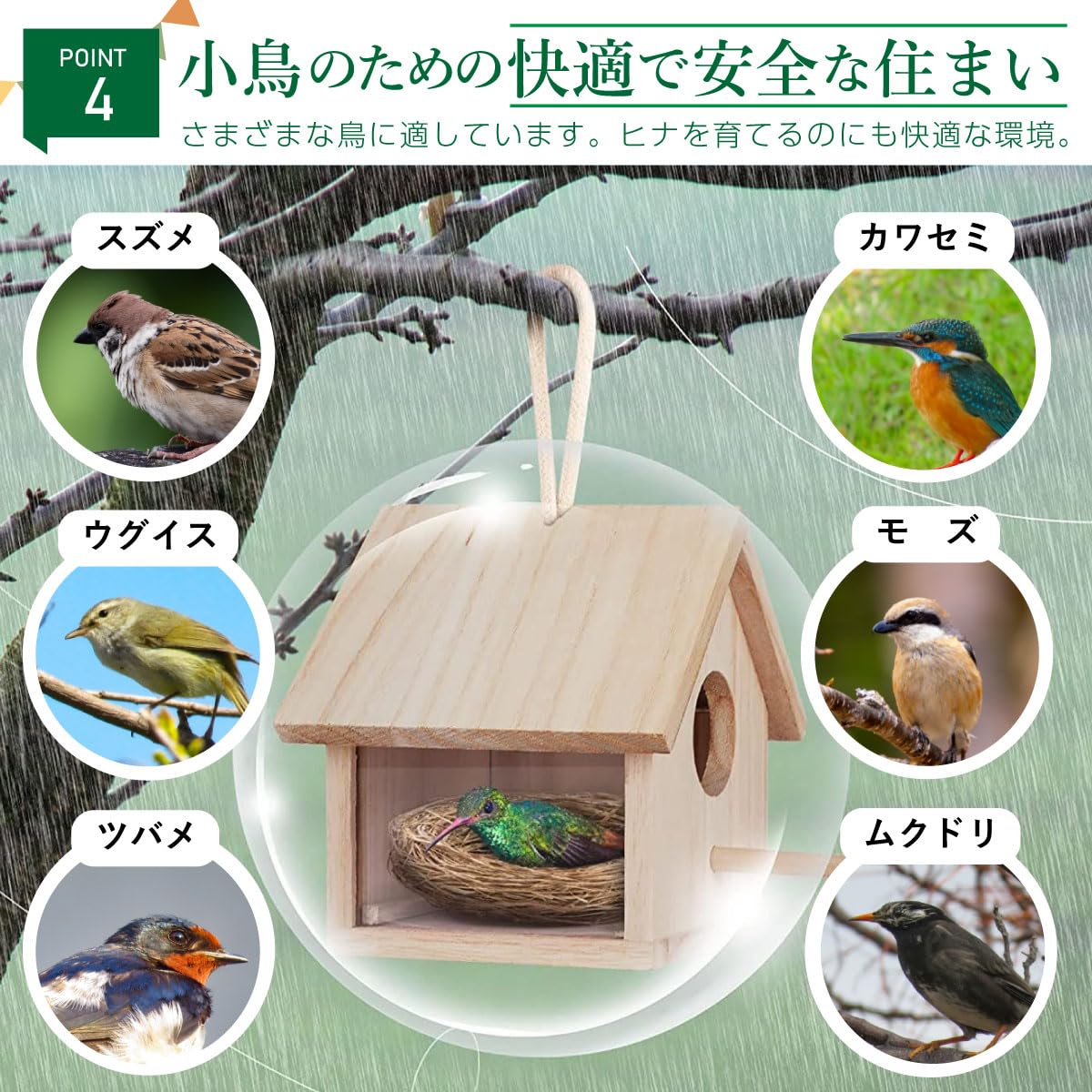 Amazon.co.jp: SALUDABLE 鳥かご 鳥の巣 巣箱 鳥小屋 屋外