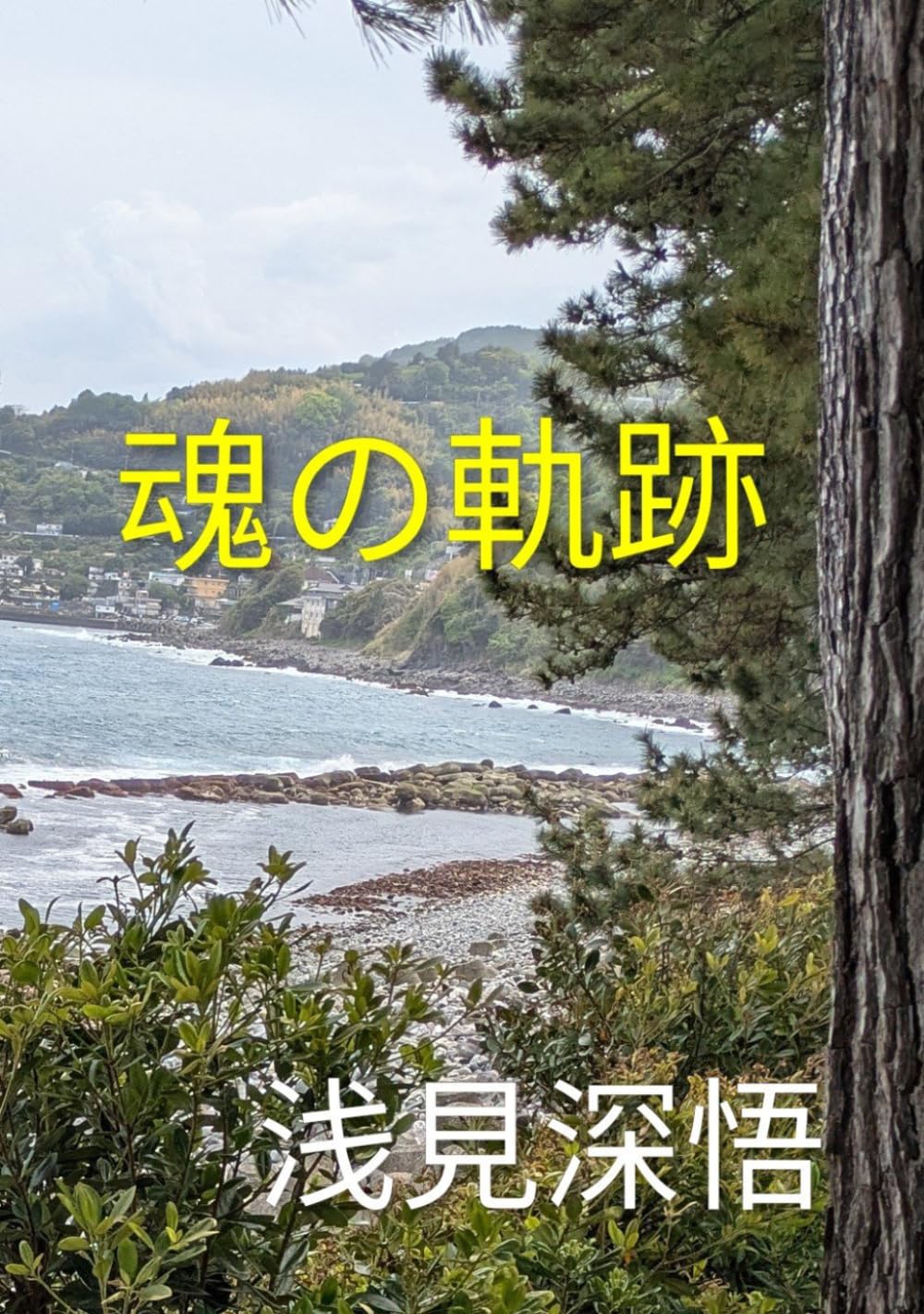 魂の軌跡、他短編: 心の奥底を探る