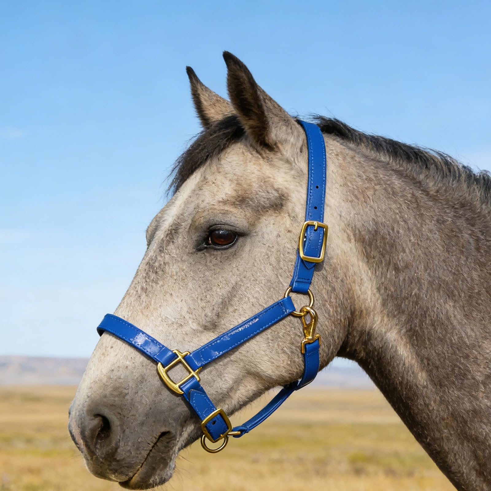 Equestrians Caballo Caballo Caballo Cabeza con Hebilla Dorada en Elegante Cuero a Prueba de Olores y Limpieza Rápida Características Arnés de Cuero