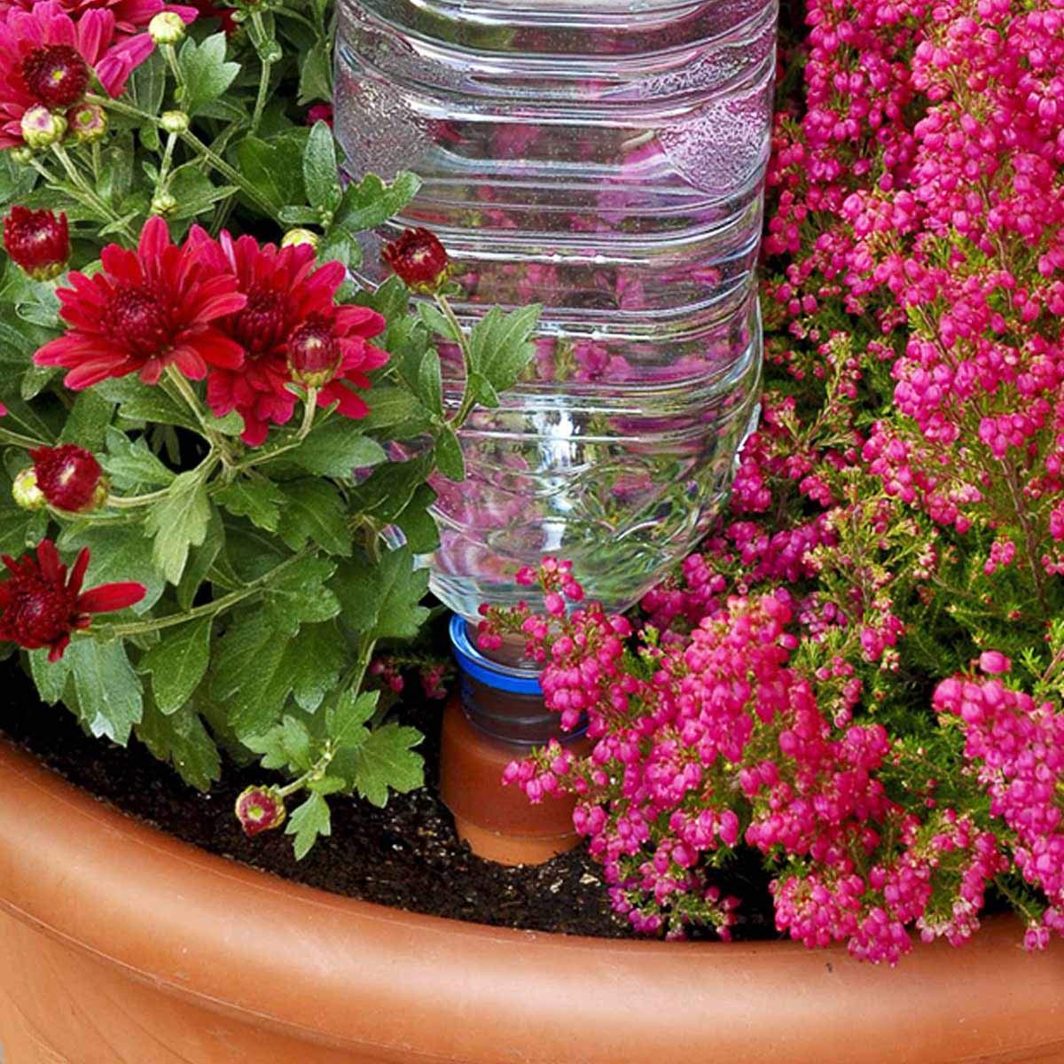 Blumat Bottle Adapter XL (6 Pack) Self Watering Spikes/Houseplant