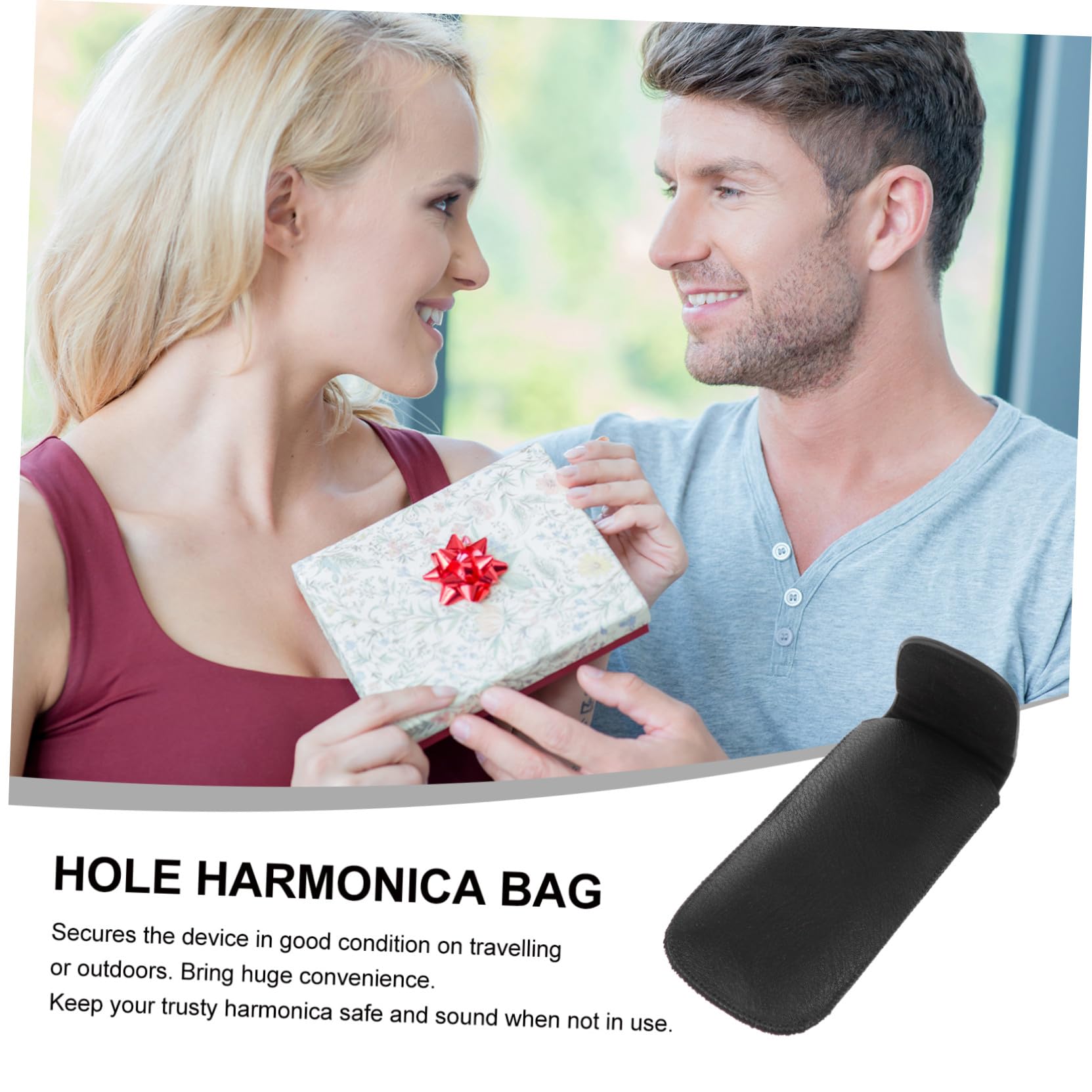 Mikinona Boîte à Harmonica Cuir Étui De Rangement pour Harmonica à Dix Boîte De Protection pour Débutant