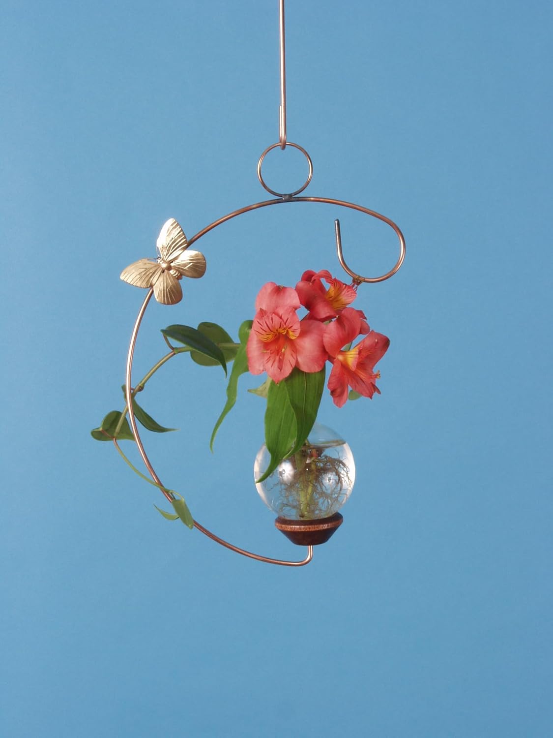 Crescent Hanging Plant Rooting Vase | Glass Hanging Propagation Vase for Cuttings | Indoor Decorative Plant Rooter