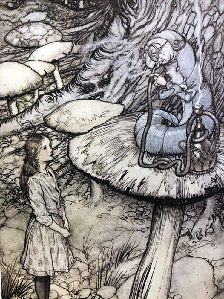 Amazon.co.jp: アーサー・ラッカム 不思議の国のアリス イモムシの助言