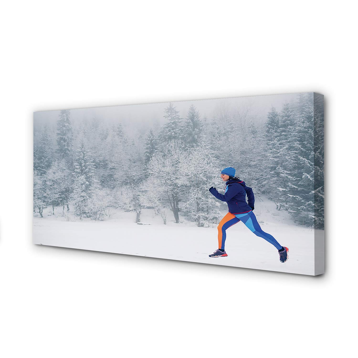 Peinture sur toile haut de gamme forêt d'hiver et ciel Tulup 140x70cm