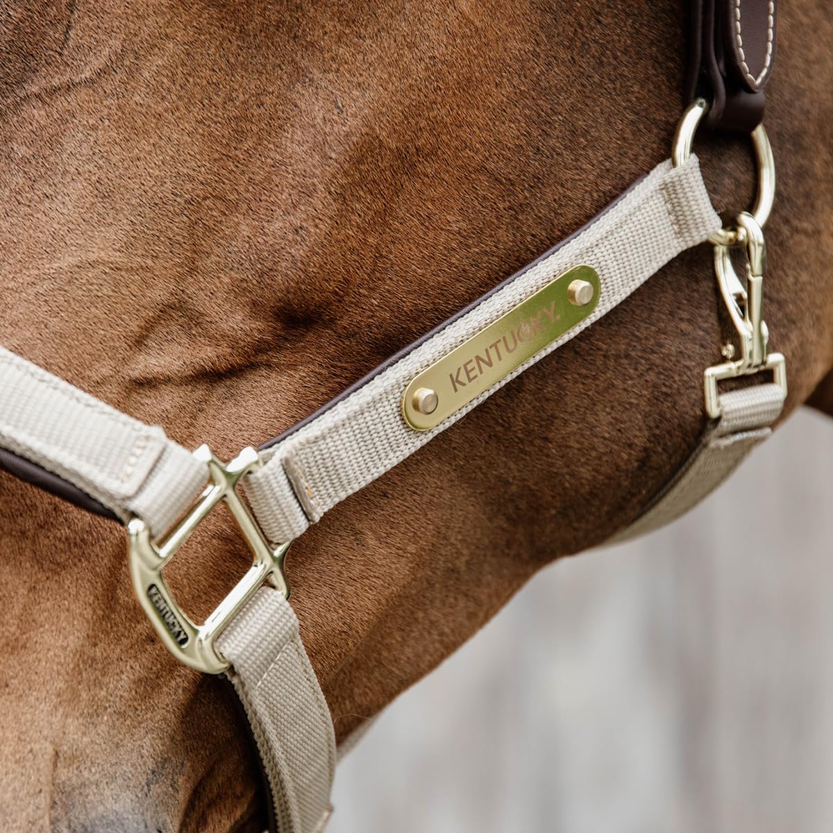 Kentucky Licol pour Cheval Anatomique Nylon