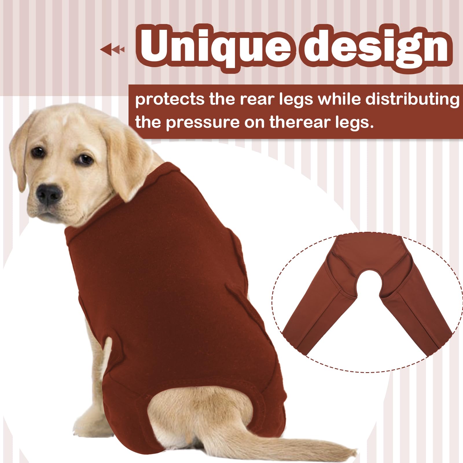 Combinaison De Convalescence pour Chien, Body Post Opératoire Femelle Mâle, avec Pattes Arrière, Anti Léchage, Alternative à La Collerette