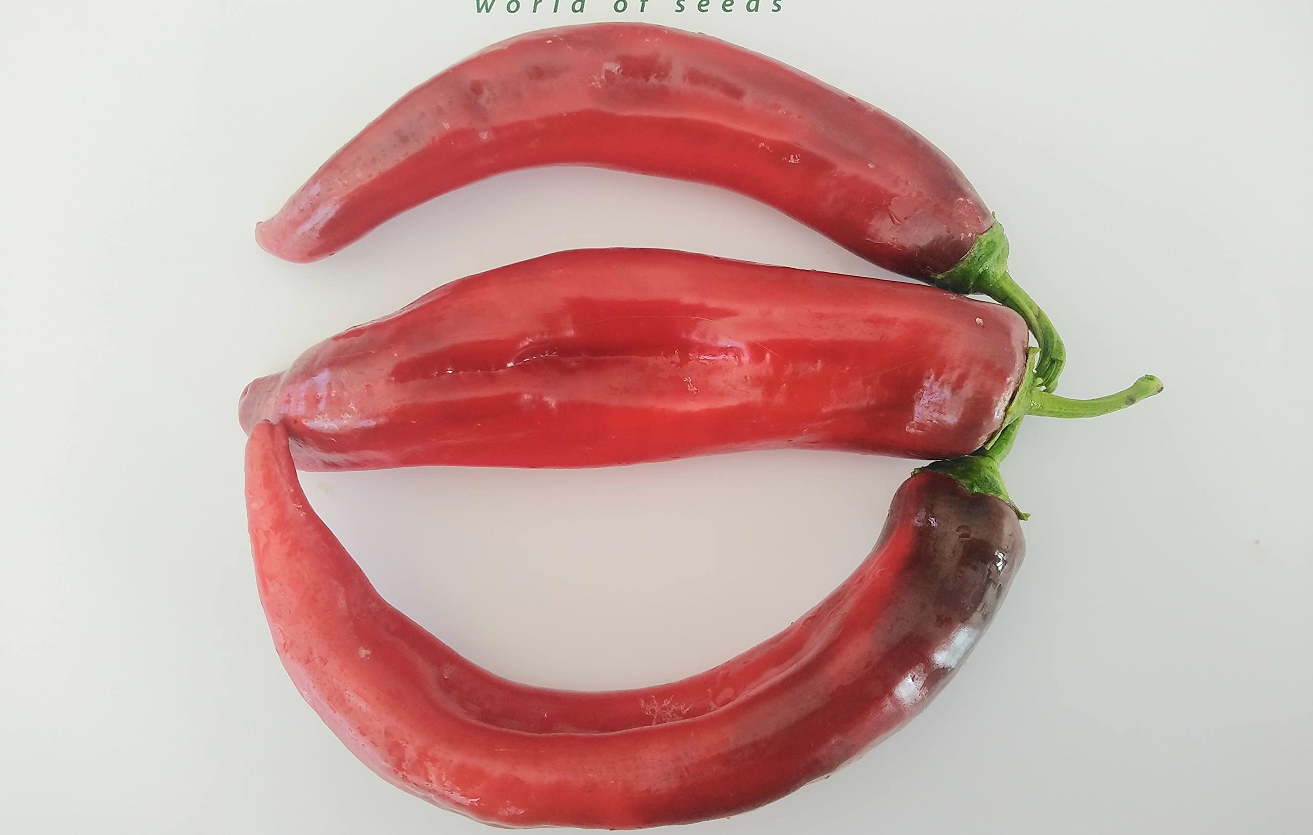 Jalapeno Chernobyl Chilli Seeds - Jalapeno Chernobyl Pepper Seeds