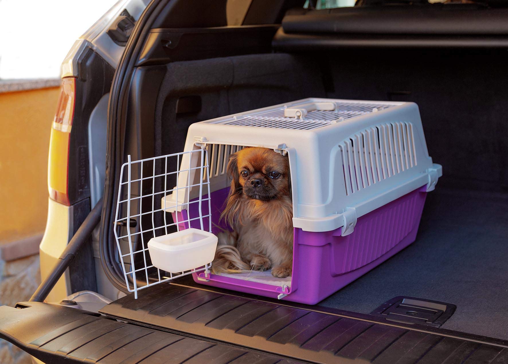 Ferplast - Transportin para Perros y Gatos + Accesorios Atlas 20 Open