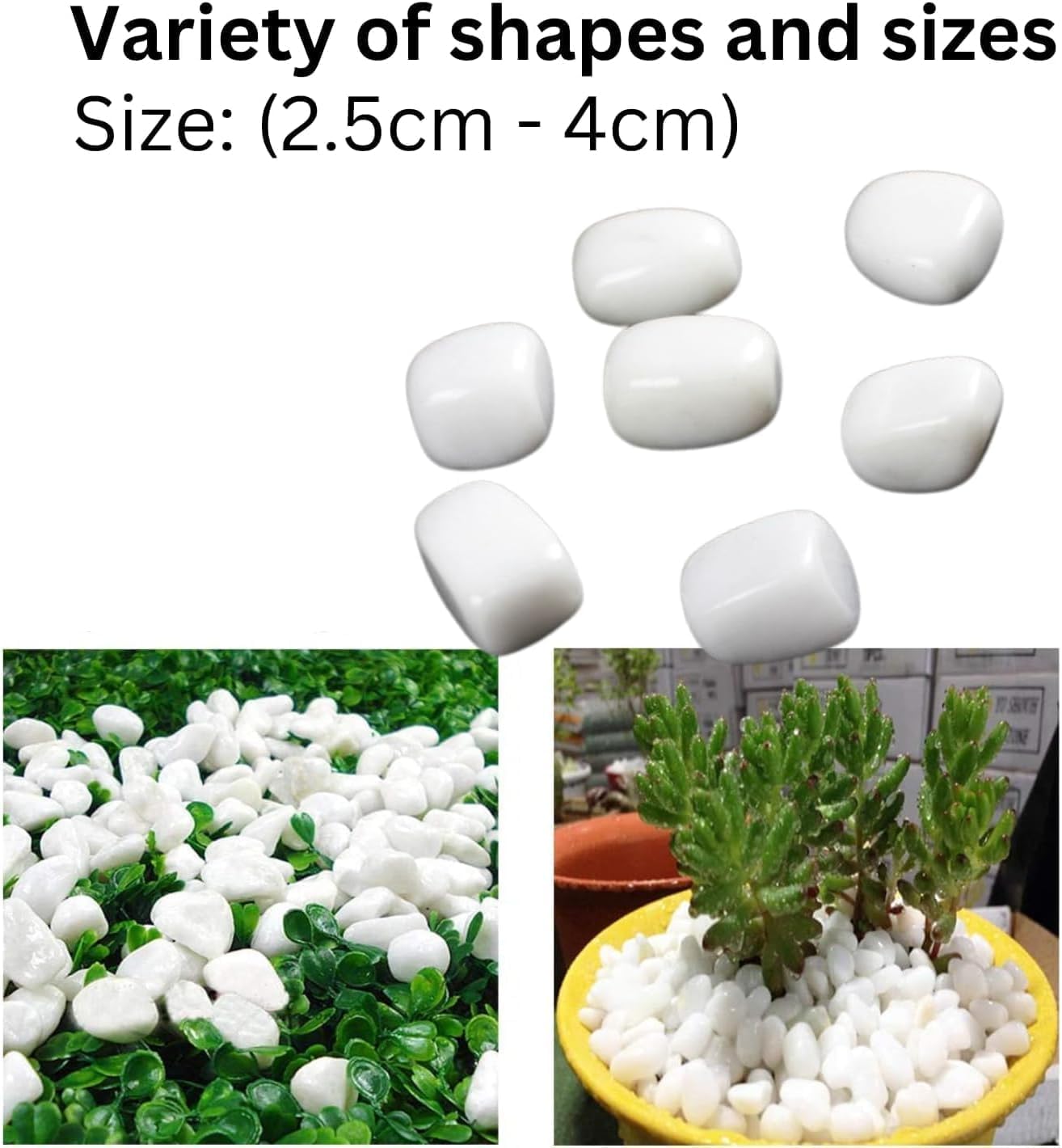 Polished White Pebbles Glossy Stones - (2.5cm - 4cm) | for Home Decorative, Vase Fillers, Aquarium Fish Tank, Garden River Rock Unplanted Substrate (Large - 1 Kg)