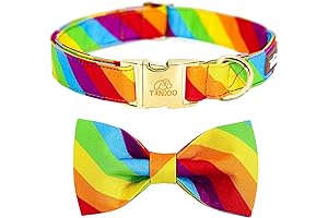 Rainbow Dog Collar: Express Dog Pride with Style